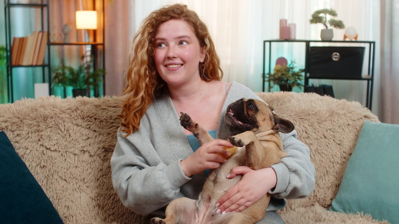 Jovem caucasiana cuidando de um pug com uma escova macia no sofá de casa. O animal de estimação desfruta de um cuidado relaxante e terno.