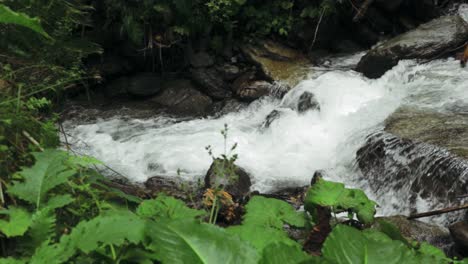 pan left camera movement showing a mountain river and a small waterfall in the fagaras carpathian mountains