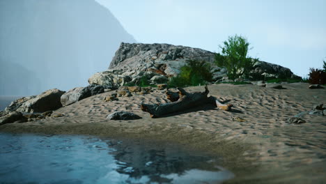 a scenic view of a beach with a log on the sand, rocks, and a mountain in the background