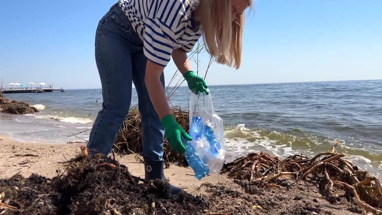 Volunteer Cleaning Plastic Waste from Beach Shoreline