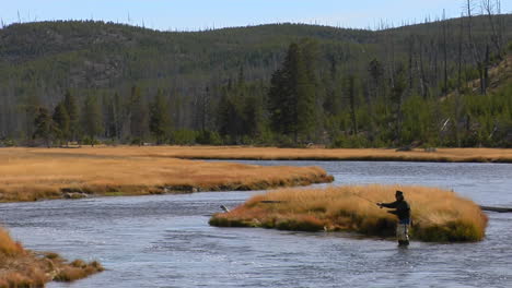 A-Fly-Fisherman-Casts-His-Line-Into-A-Flowing-River-1