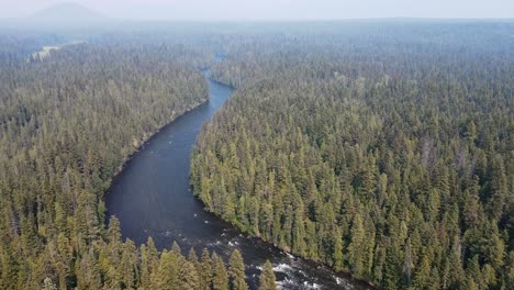 the stunning murtle river snaking through the lush and scenic wells gray provincial park in british columbia, canada