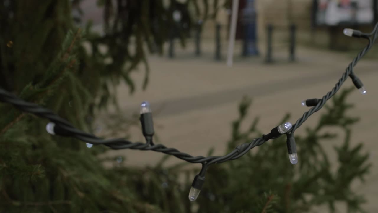 Christmas lights in town hanging from a tree