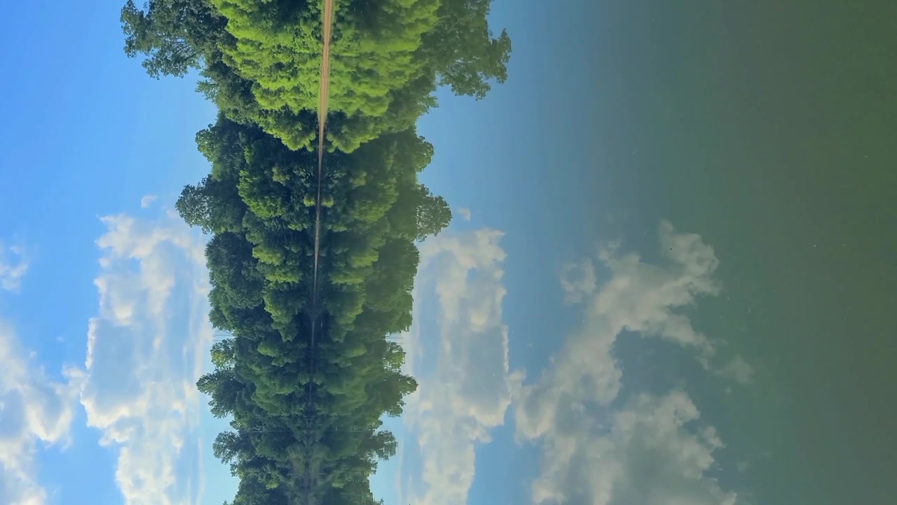 Vertical video of a boat ride on the smooth black warrior river in Tuscaloosa, Alabama.