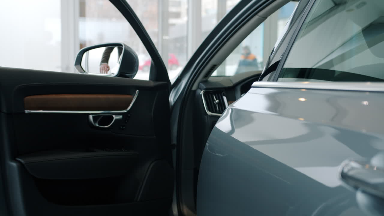 Car Showroom and Customer Interaction