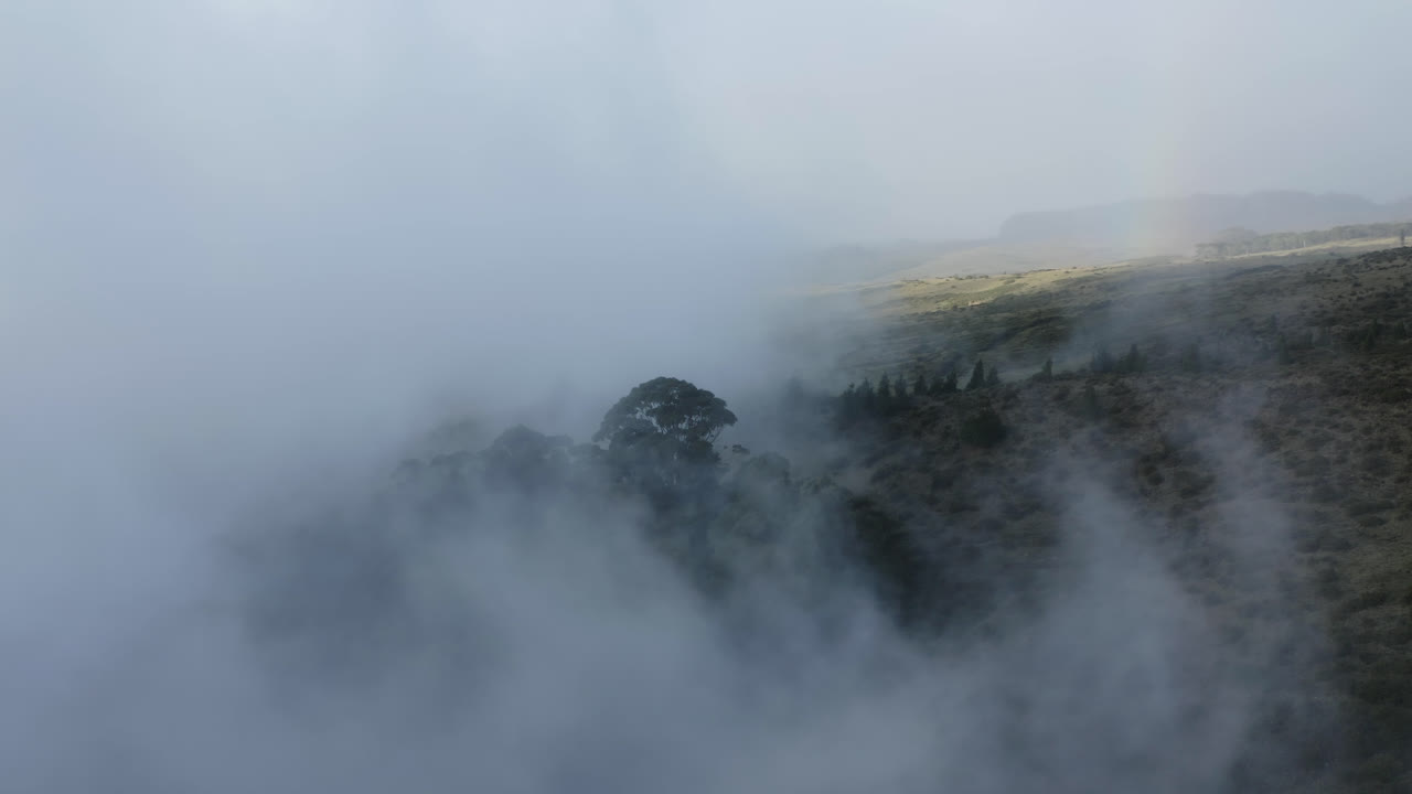 nubes blancas que se mueven sobre las laderas del volcán haleakala en maui, hawai