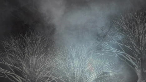 animation of gray trees over storm clouds on black background