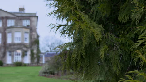 a slow pan from a bush to a full frame of an old stately english house