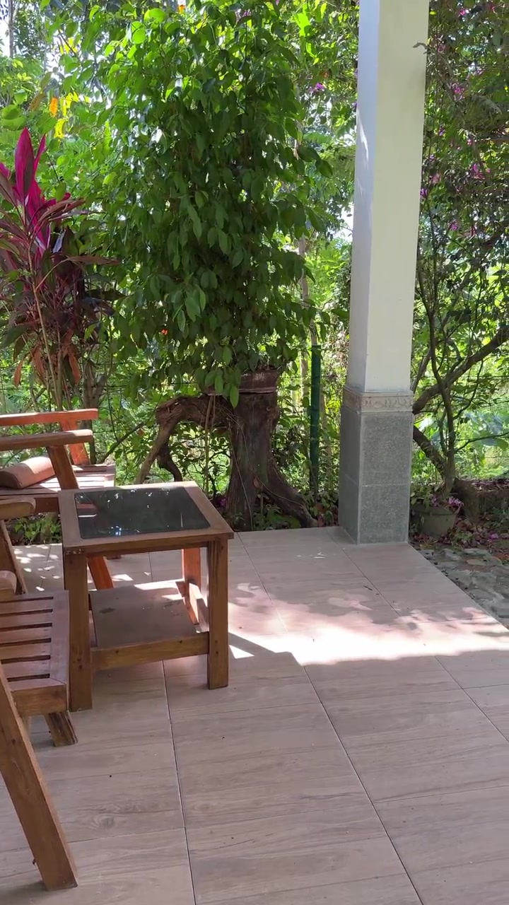 Wooden Chairs and Table on a Peaceful Garden Patio