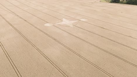 Aerial-approach-and-tilt-down-over-curious-crop-circle-in-brown-farmland