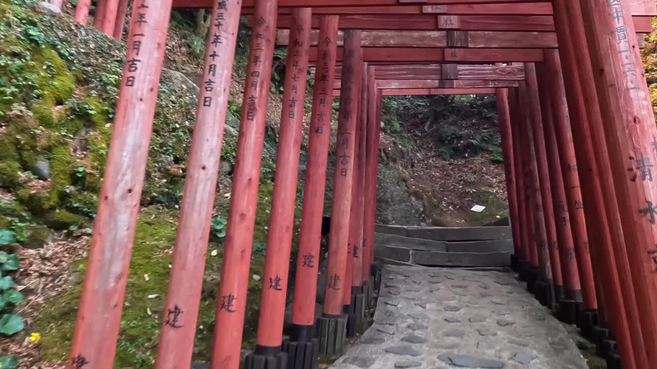 se acercan las filas de puertas torii en el santuario de yutoku inari en kyushu, japón