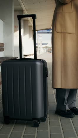 person with luggage at train station