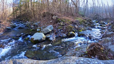 beautiful time lapse of a forked mountain stream in the appalachian mountains