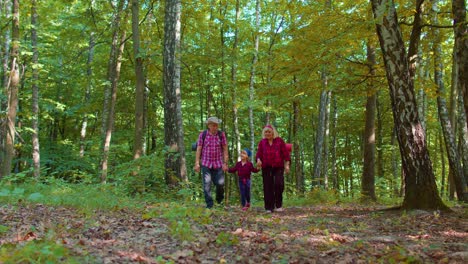 active senior grandmother grandfather tourists walking hiking with granddaughter in summer wood