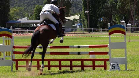 horse and rider jumping over a colorful obstacle