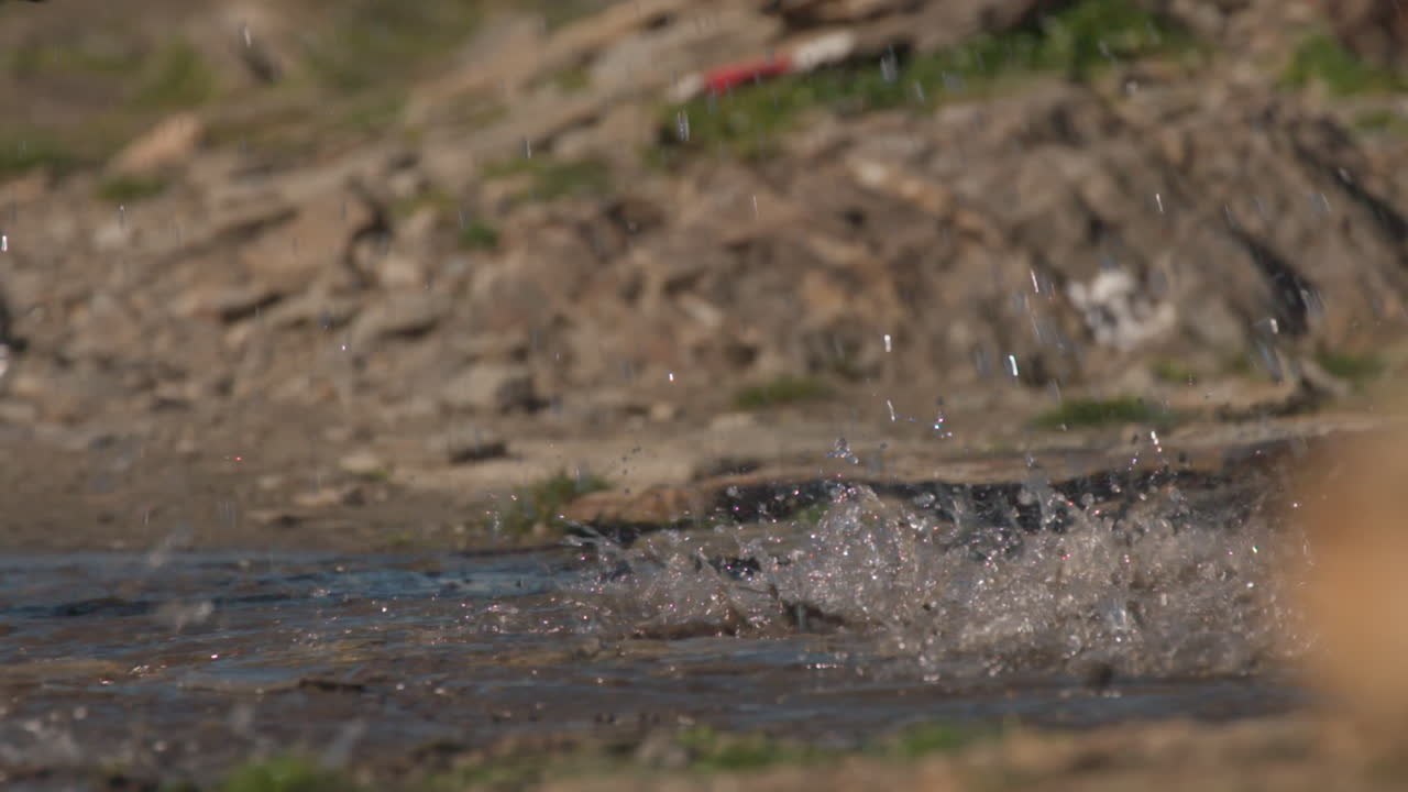Tight shot of two mountain bikers passing through a shallow river in Saas-Fee, Swiss Alps. Close framing on tires hitting the water and splashing, dynamic outdoor action and cinematic trail energy