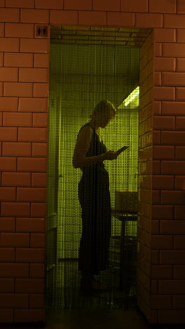 mysterious silhouette in a green-lit public restroom entrance