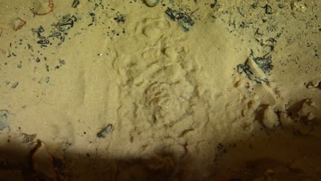 Looking-down-at-pile-of-sand-bubbling-underwater,-stable-shot