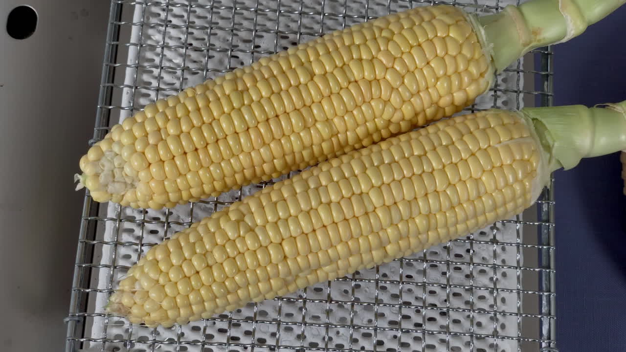 callos en la parrilla en la cocina de casa, tokio, japón