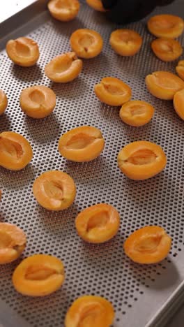 dried apricot halves on a perforated tray