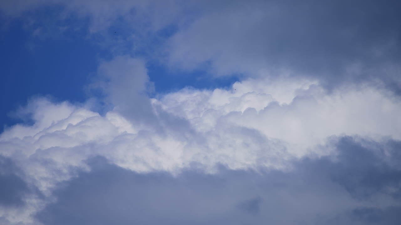 Amazing huge cumulus cloudscape in the blue sky. Black birds flying through in the horizon.