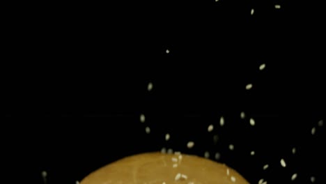 spices falling on a burger bun