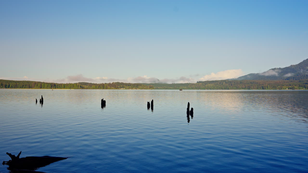 Riflessi sul lago Quinault nell'Olympic National Park, con acque calme che rispecchiano la foresta e le montagne. Ideale per filmati naturalistici, paesaggistici e di natura selvaggia.