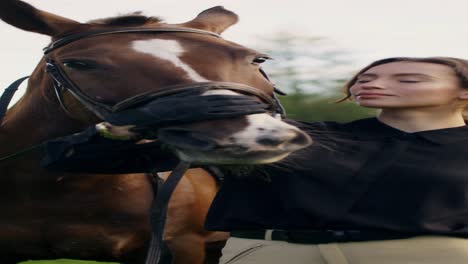 woman caring for a horse