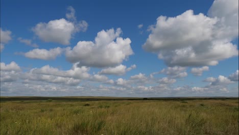 wide open plains under a cloudy sky