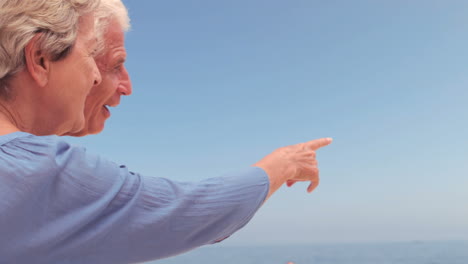 Senior-couple-pointing-in-the-blue-sky