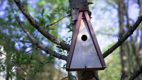 wooden shelter for songbirds and small passerines