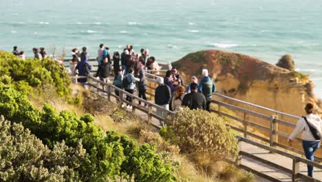 visitors exploring scenic coastal viewpoint