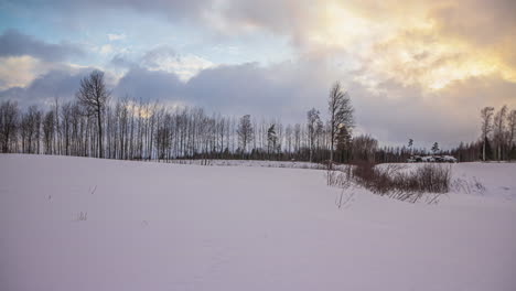 Durante-El-Apogeo-Del-Invierno,-El-Time-lapse-De-Un-Día-Completo-Captura-Un-Bosque-Cubierto-De-Nieve,-Con-Nubes-Deslizándose-Elegantemente-Por-El-Cielo-Y-Proyectando-Un-Resplandor-Dorado-Sobre-Los-Cielos.