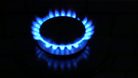 the blue color of the gas.