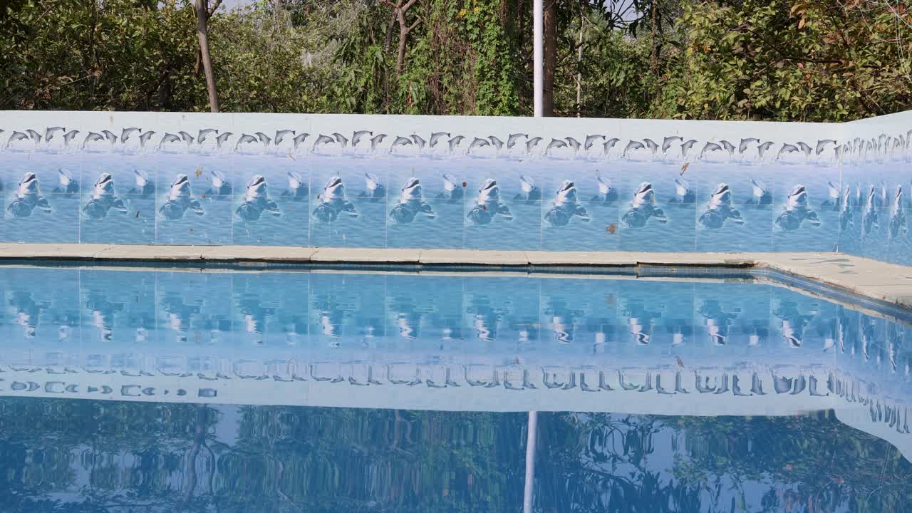 Isoleret swimmingpool med klare vandkrusninger om morgenen.