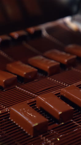 pouring chocolate at a candy factory for the production of chocolates. sweets are poured with chocolate on production line at a candy factory close up. vertical video