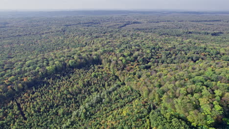 fotografía aérea del bosque en la temporada de otoño