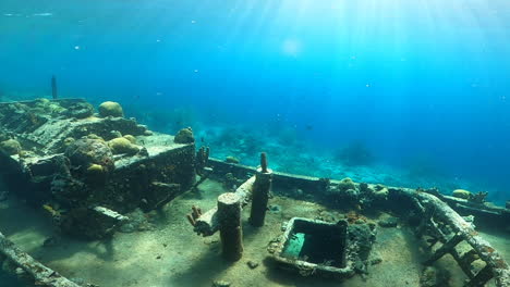 beautiful orbital shot under the sea of a wrecked ship full of fish, coral and other living things