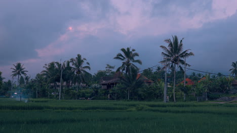 Escena-De-Pueblo-Rural-Con-Tierras-De-Cultivo-Verdes-Durante-La-Puesta-De-Sol-En-Ubud,-Bali-Indonesia