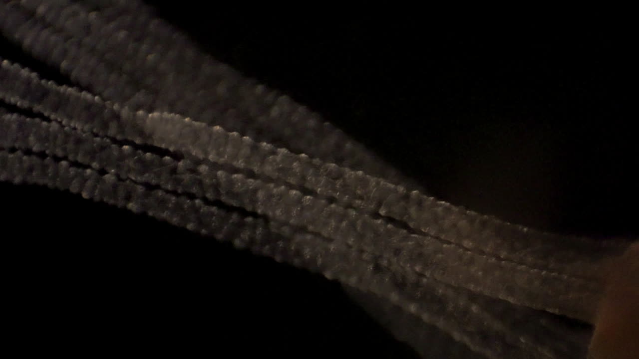 микроскопические кадры гидры