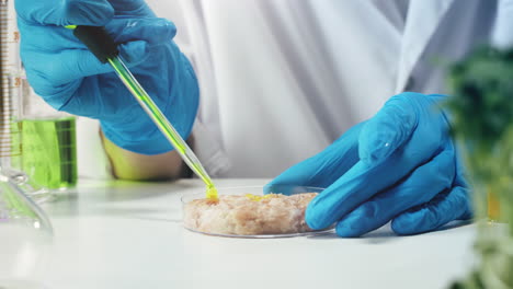 Cultured Meat Research in a Lab