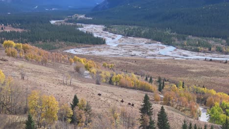 Eine-Gruppe-Von-Reitern-Bahnt-Sich-Ihren-Weg-Entlang-Eines-Pfades-Zwischen-Bäumen-Mit-Dem-Red-Deer-River-Im-Hintergrund-Der-Ya-Ha-Tinda-Ranch-In-Alberta,-Kanada