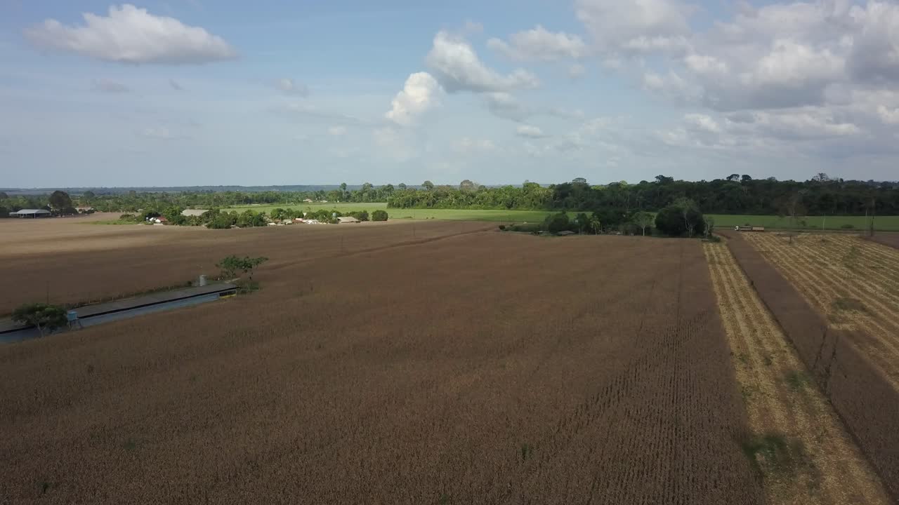 Soybean farmland from deforested land that once was