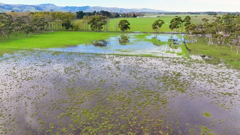 aerial view of flooded fields in christchurch, showcasing waterlogged landscapes and vibrant greenery under clear skies