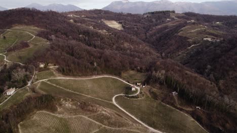 Aerial-view-over-vineyard-rows-in-the-prosecco-hills,-Italy,-on-a-winter-day