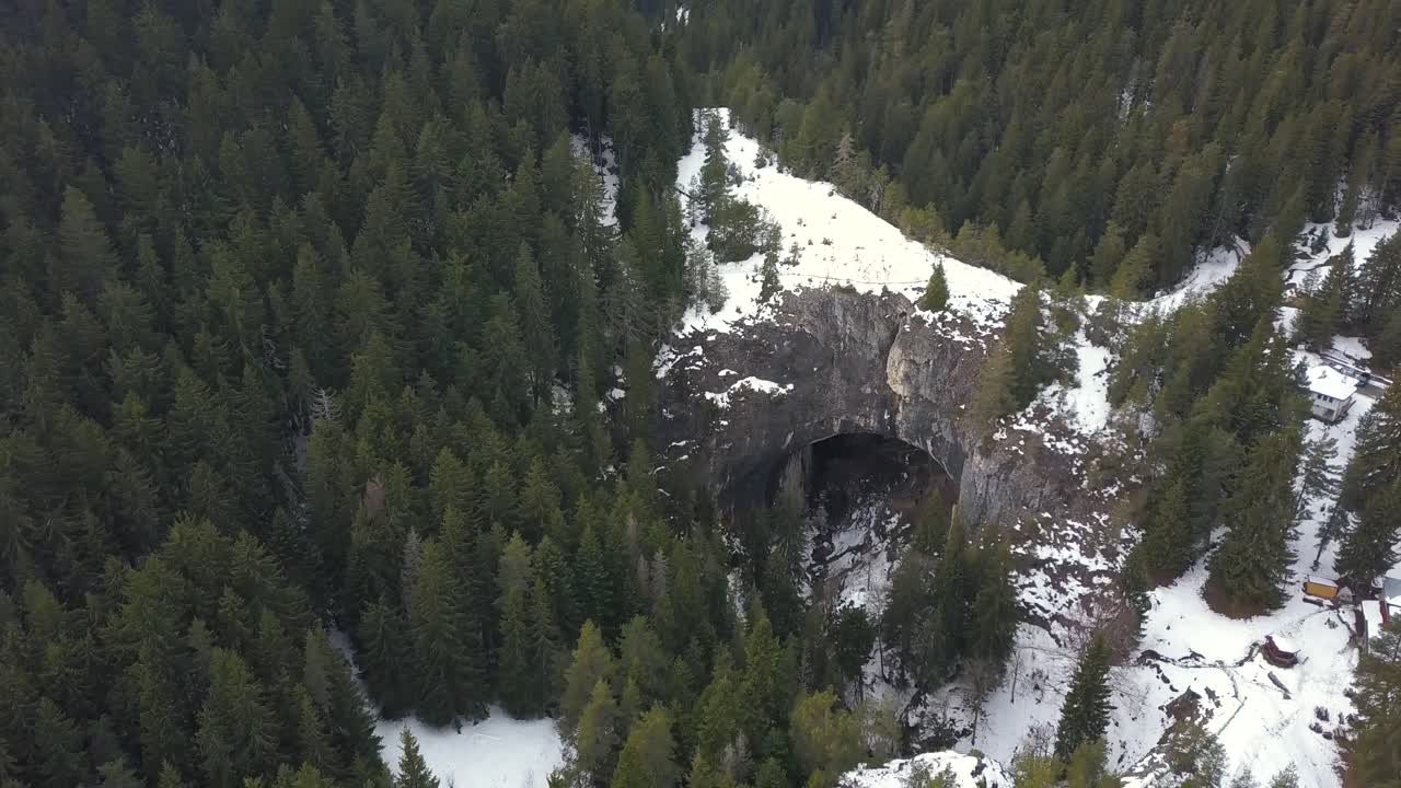 vuelo de drones, vista del bosque, búlgaro