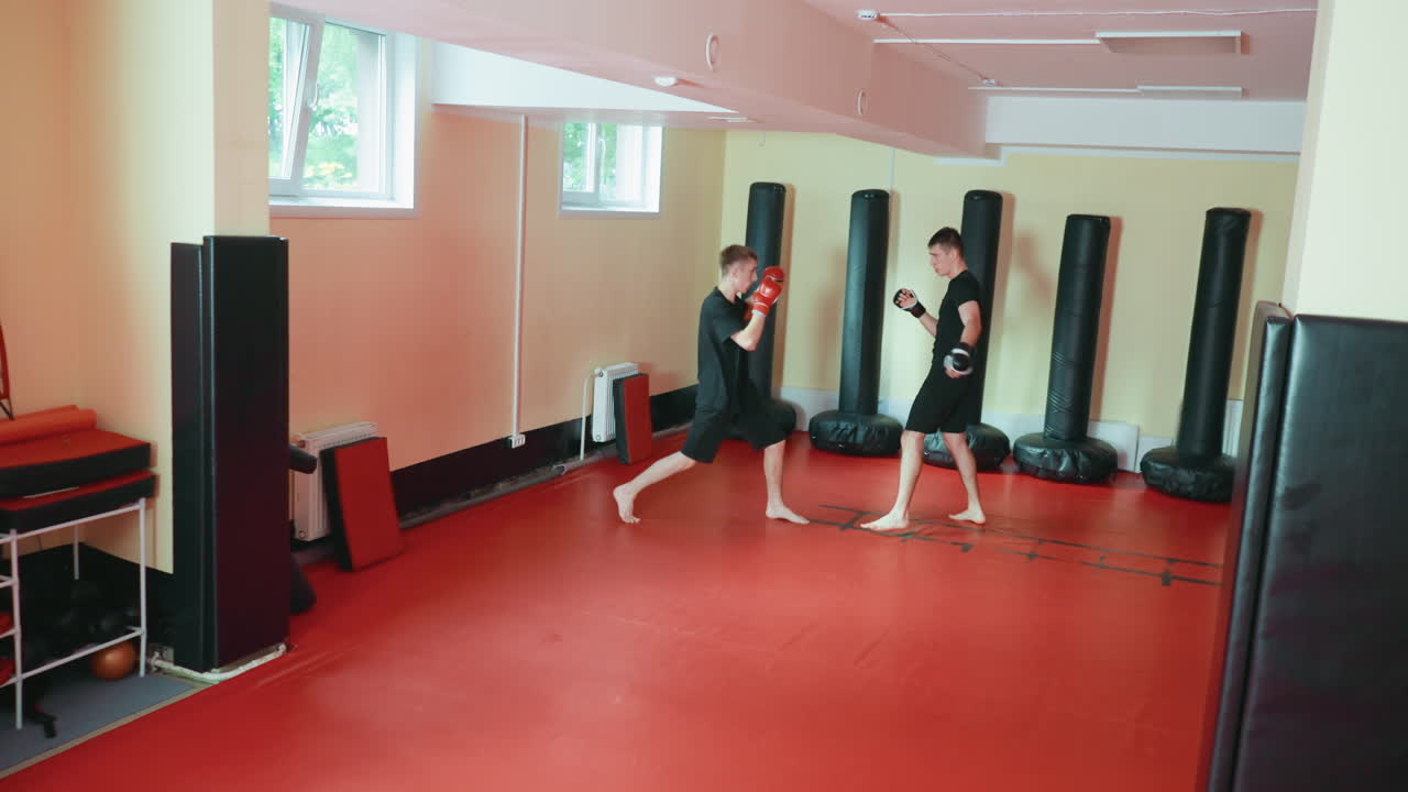 글러브를 착용하고 붉은색 매트 바닥에서 공격 및 방어 자세를 연습하며 샌드백으로 둘러싸인 무술 체육관에서 자연광 아래 훈련 세션 중인 가라테 수련생들의 스파링