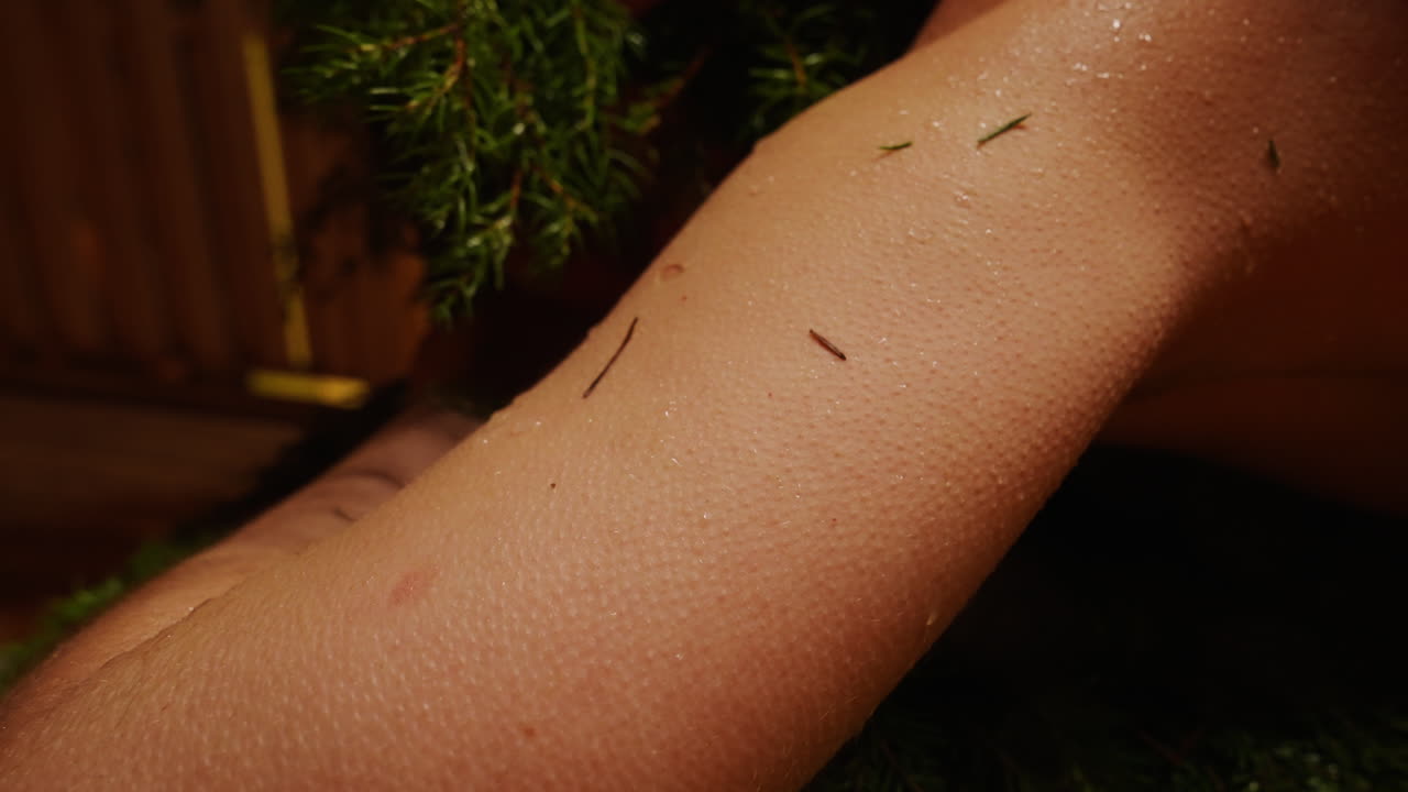 Human arm in a sauna with pine needles and water droplets