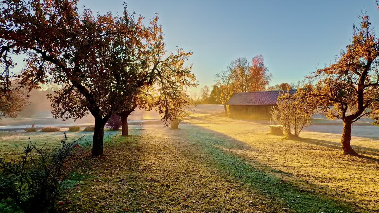 Misty sunrise over meadow, trees with autumn leaves in morning light