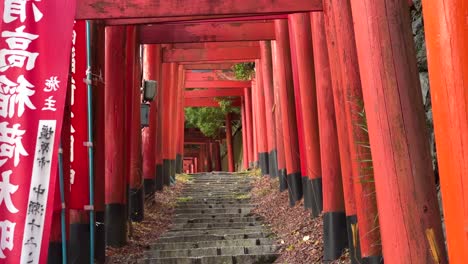 incredible view of vibrant red torii gates at japanese temple